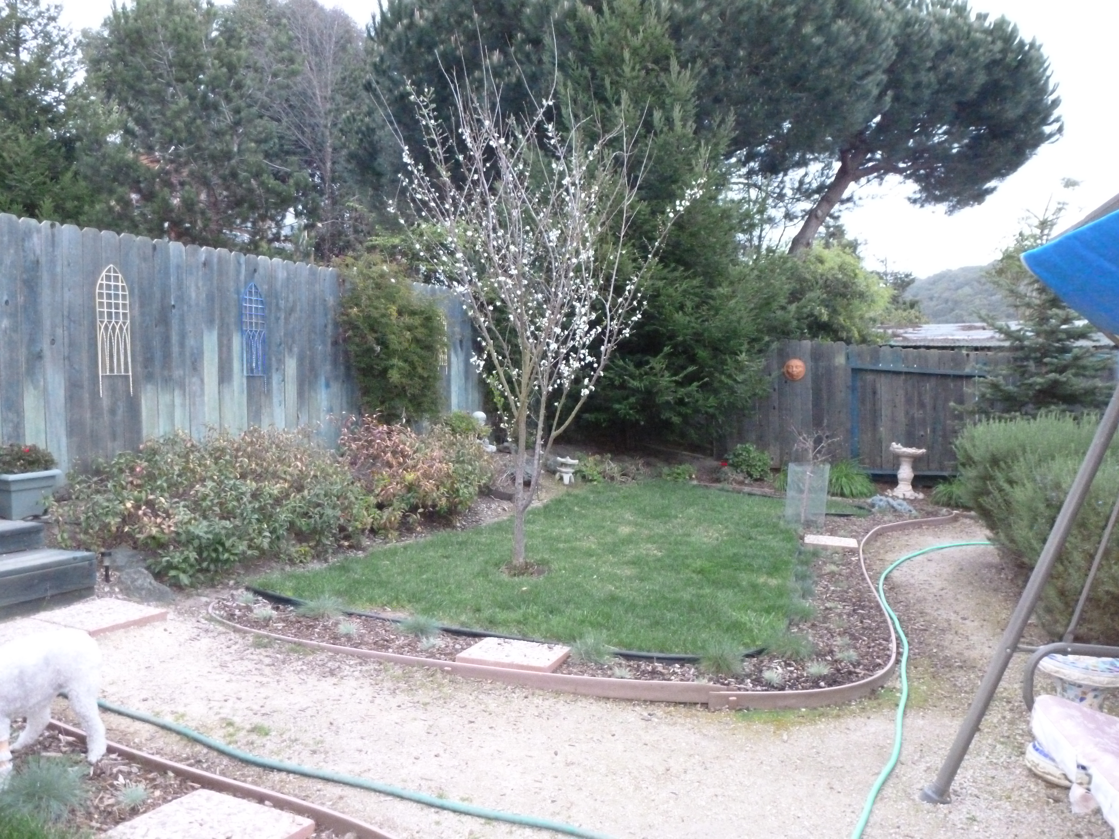 Spring 2012 029